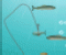 Shoot Fish Icon