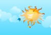 Play Birdy