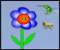 Play Kolibri